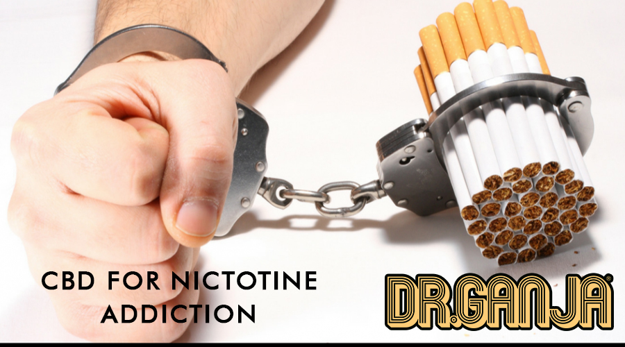 Smoking affects 14 of every 100 adults every day. The best way to start this is to explain how nicotine affects the body and how this habit has gotten so many Americans addicted. Nicotine dependence is the term used and related to the addiction to nicotine other words tobacco more commonly in the form of a cigarette.