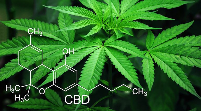 Best Ways to Take CBD: The Ultimate Guide To Using CBD
