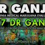 Dr.Ganja Green Business Card