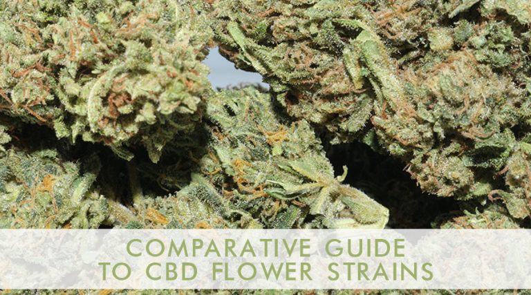 Comparative Guide to CBD Flower Strains