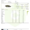 Dr.Ganja Sour Blueberry Kush Terpenes Certificate of Analysis