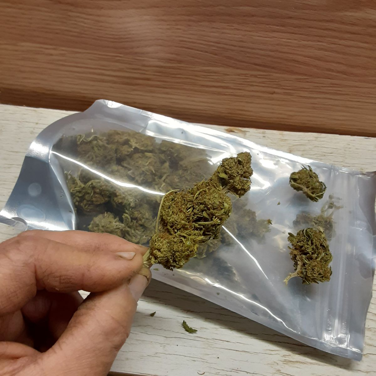 Image #1 from Dr.Ganja Customer