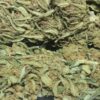 DrGanja Cherry Blossom Untrimmed Hemp Flower