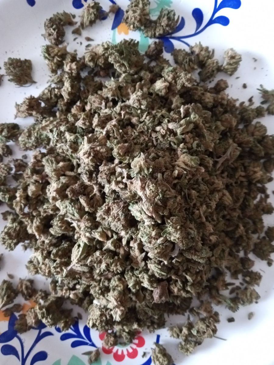 Image #5 from Dr.Ganja Customer