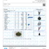 Gushers Terpenes Certificate of Analysis