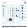 Pink Panther Terpenes Certificate of Analysis