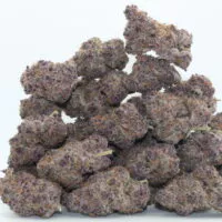 Purple Killer