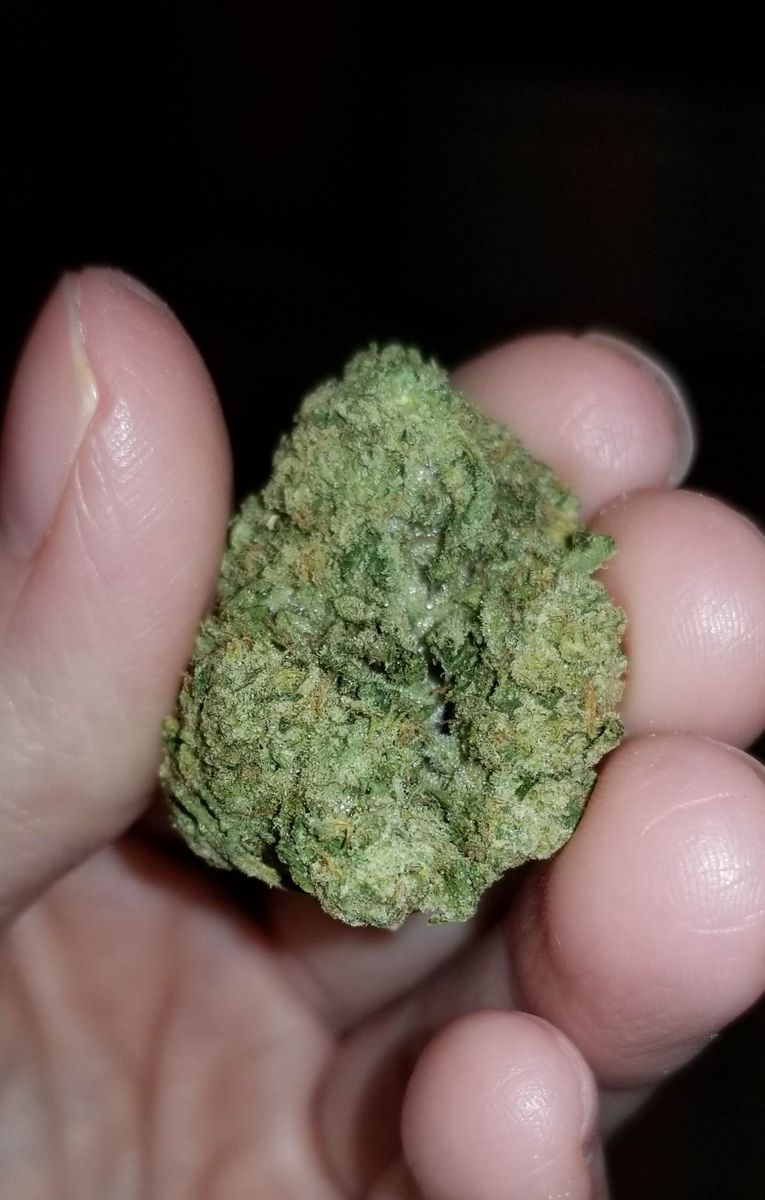 Image #6 from Dr.Ganja Customer