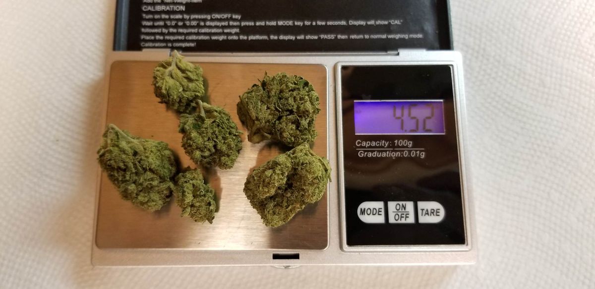 Image #5 from Dr.Ganja Customer