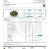 Dr.Ganja Tangy Haze Cannabinoids Certificate of Analysis