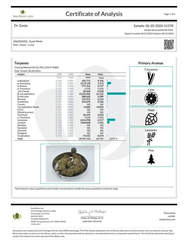 Gush Mints Terpenes Certificate of Analysis