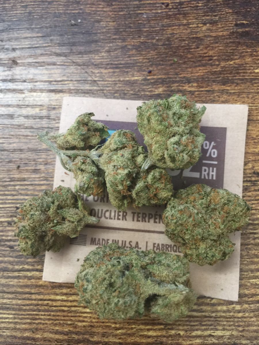 Image #1 from Dr.Ganja Customer