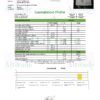 Wookies Cannabinoids Certificate of Analysis