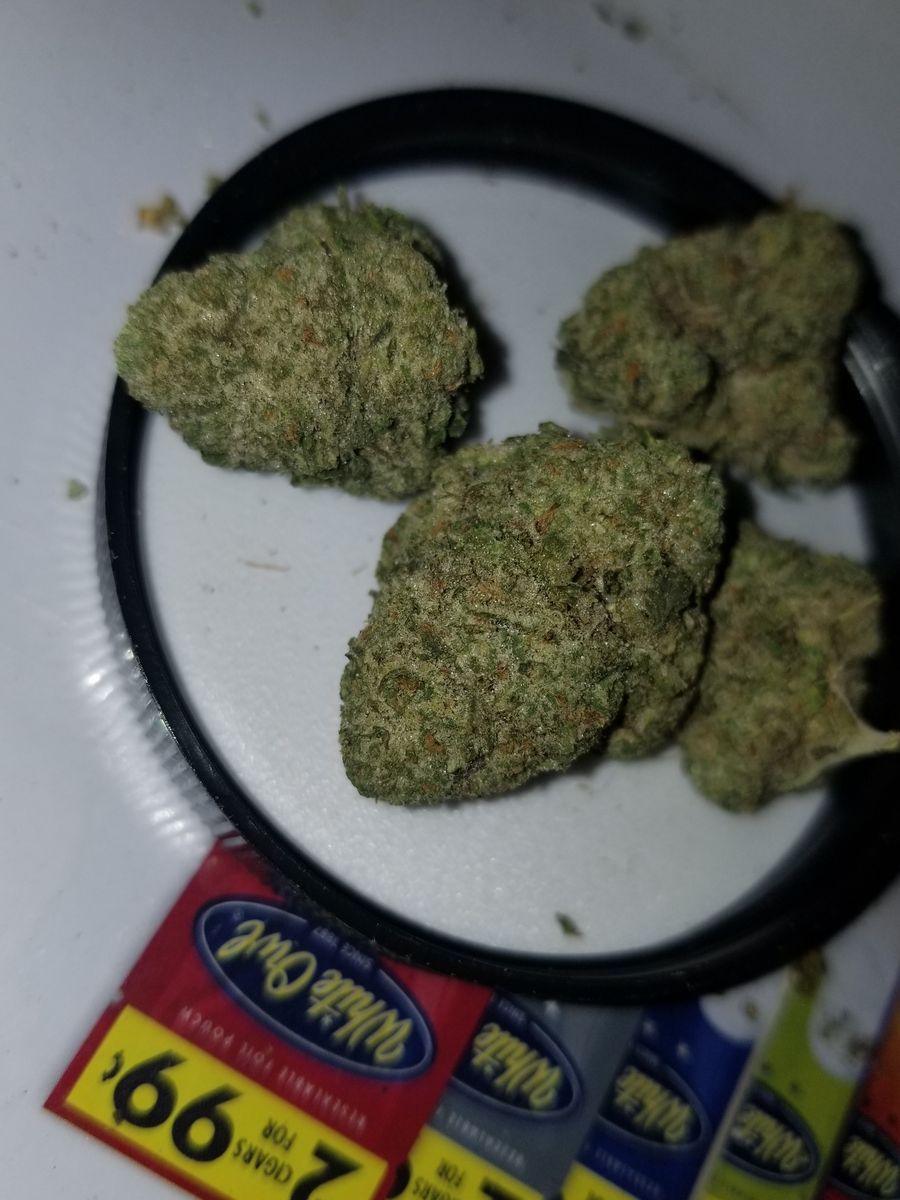 Image #1 from Dr.Ganja Customer