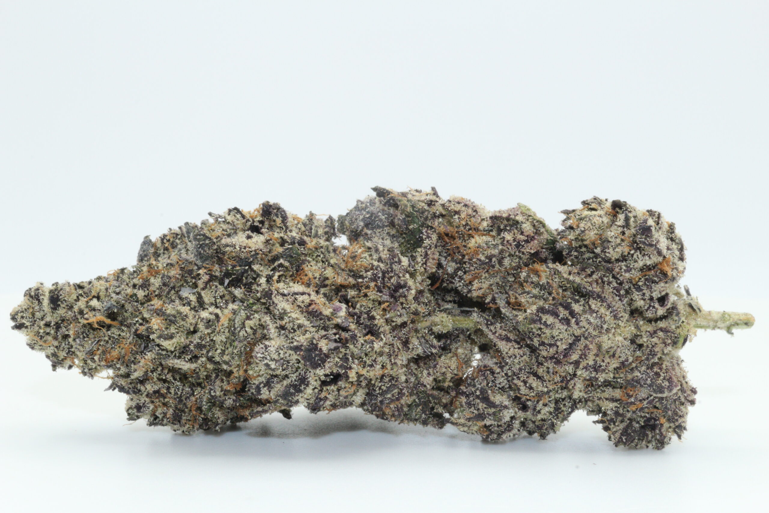 black-truffle-dr-ganja