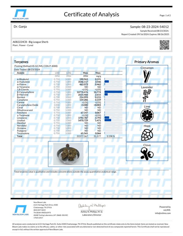 Big League Sherb Terpenes Certificate of Analysis