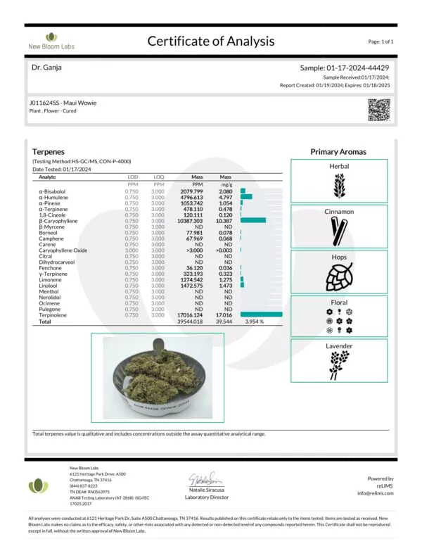 Maui Wowie Terpenes Certificate of Analysis