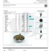 Dr.Ganja Watermelon Lemonade Terpenes Certificate of Analysis