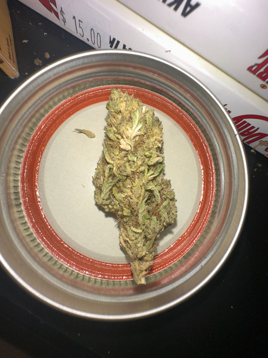 Image #13 from Dr.Ganja Customer