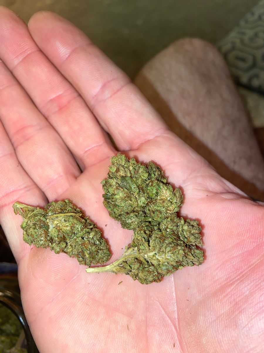 Image #1 from Dr.Ganja Customer