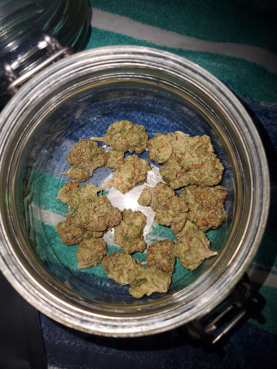 Image #41 from Dr.Ganja Customer