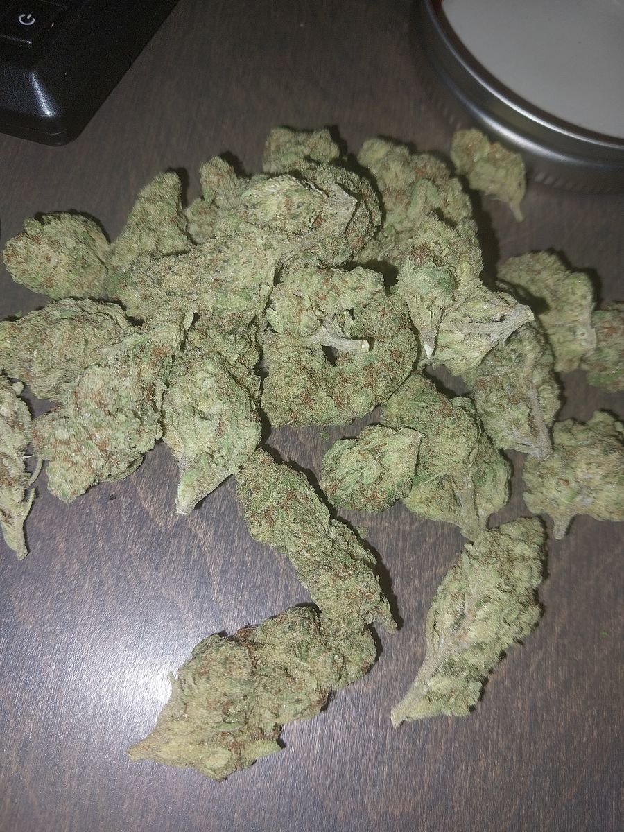 Image #15 from Dr.Ganja Customer