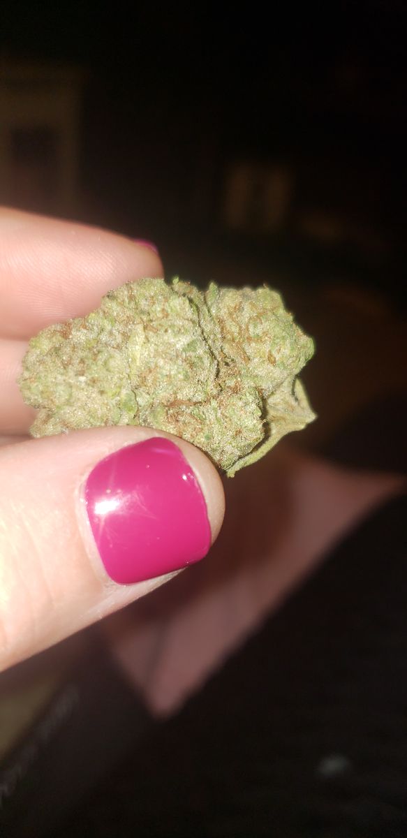 Image #25 from Dr.Ganja Customer