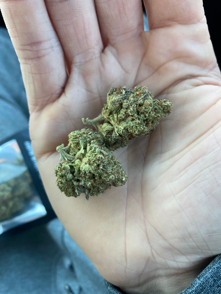 Image #1 from Dr.Ganja Customer