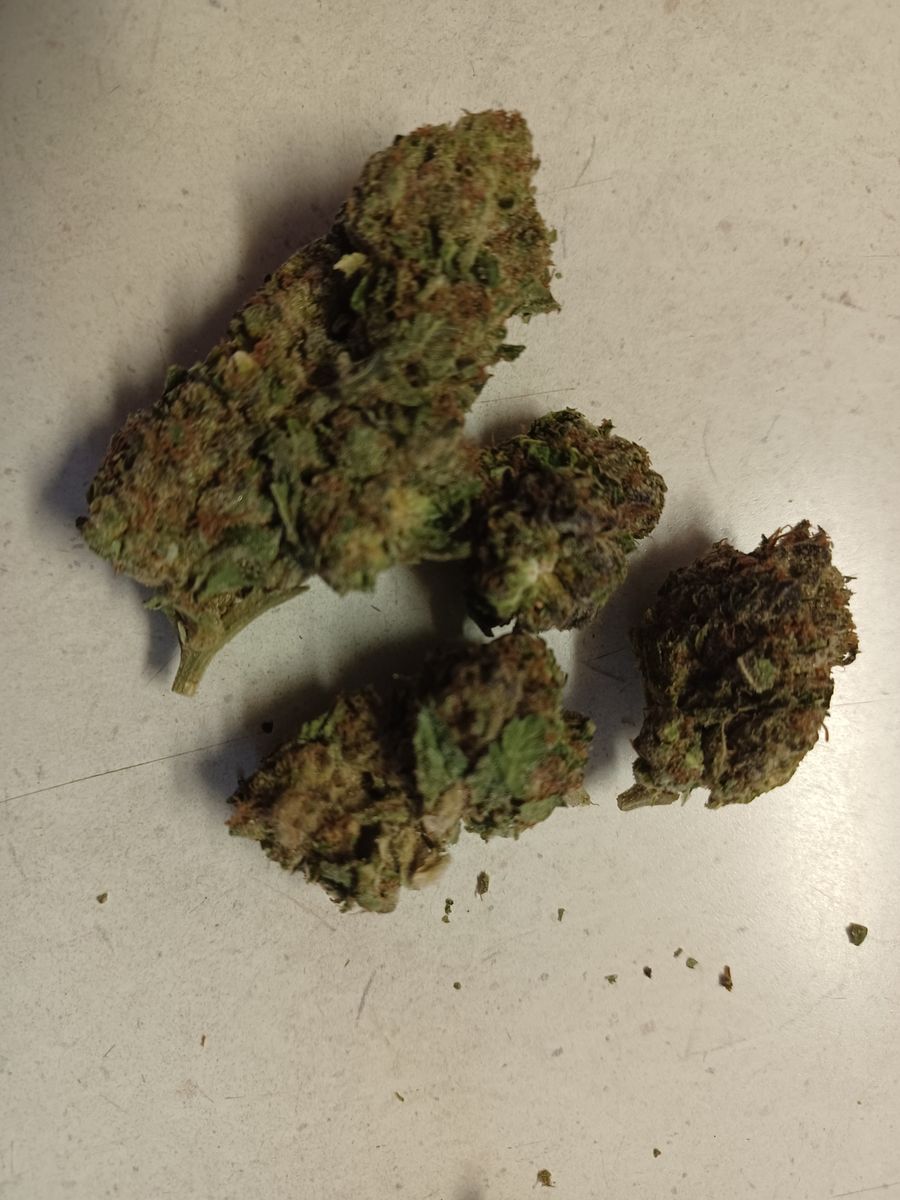 Image #6 from Dr.Ganja Customer