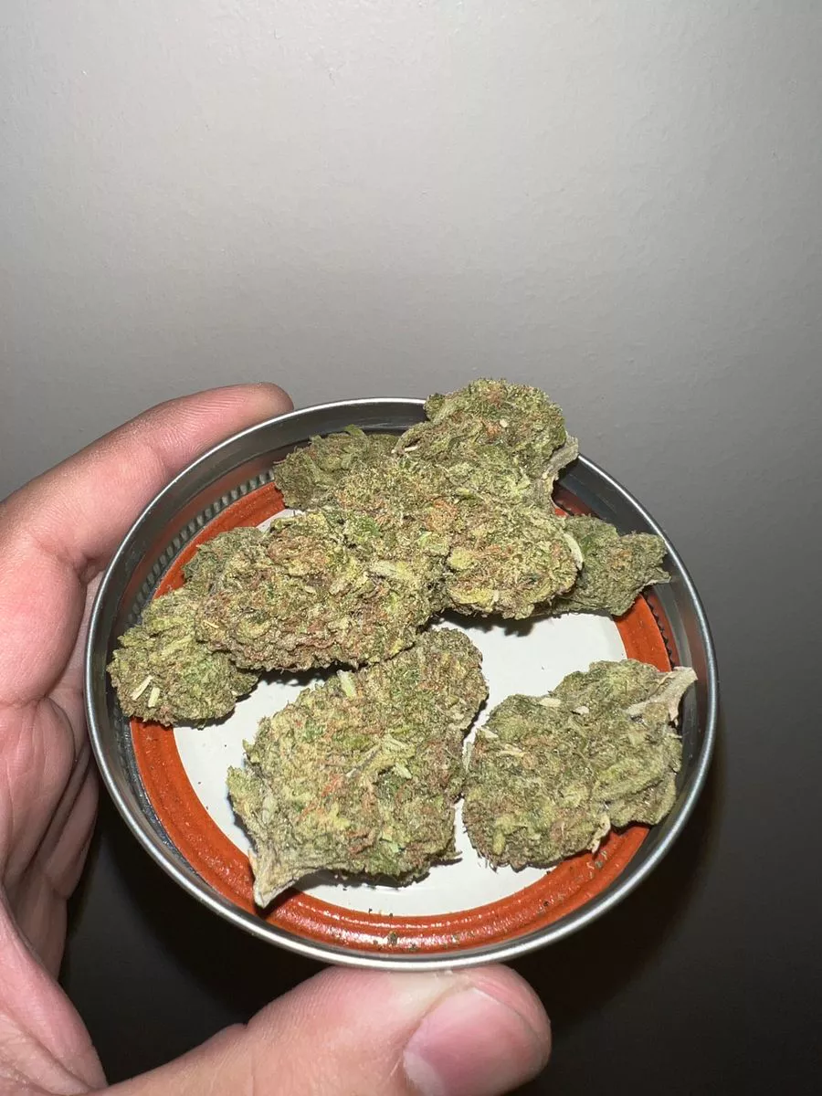 Image #5 from Dr.Ganja Customer