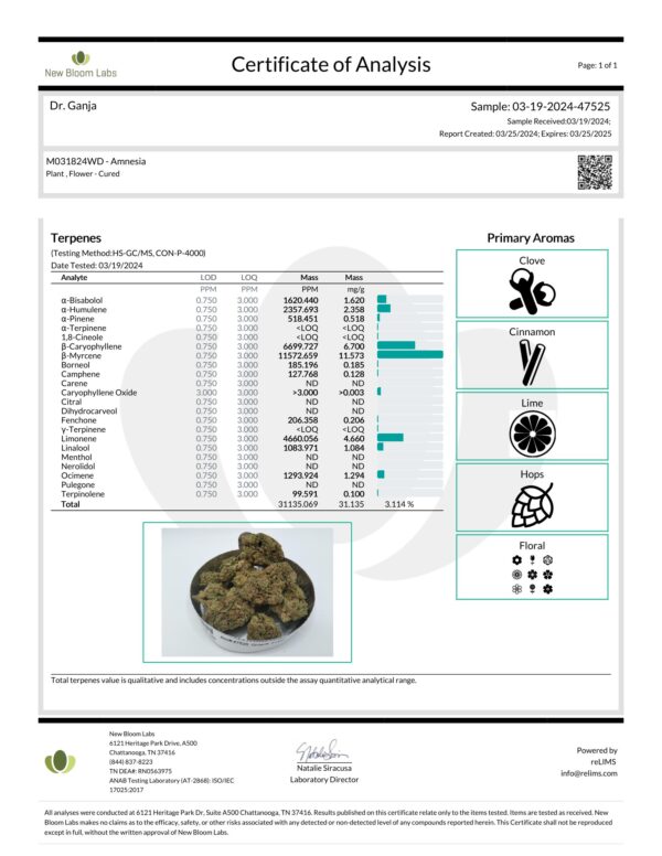 Amnesia Terpenes Certificate of Analysis