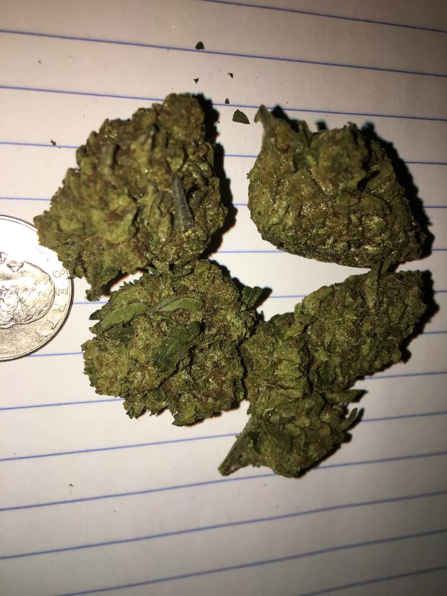 Image #1 from Dr.Ganja Customer