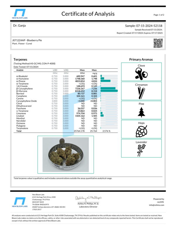 Blueberry Pie Terpenes Certificate of Analysis