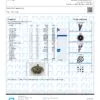 Illuminati OG Terpenes Certificate of Analysis