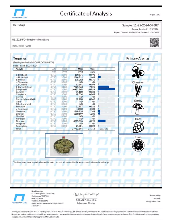 Blueberry Headband Terpenes Certificate of Analysis