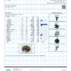 Black Maple Terpenes Certificate of Analysis