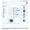 Stellar OG Terpenes Certificate of Analysis