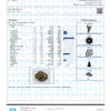 Blue 16 Terpenes Certificate of Analysis